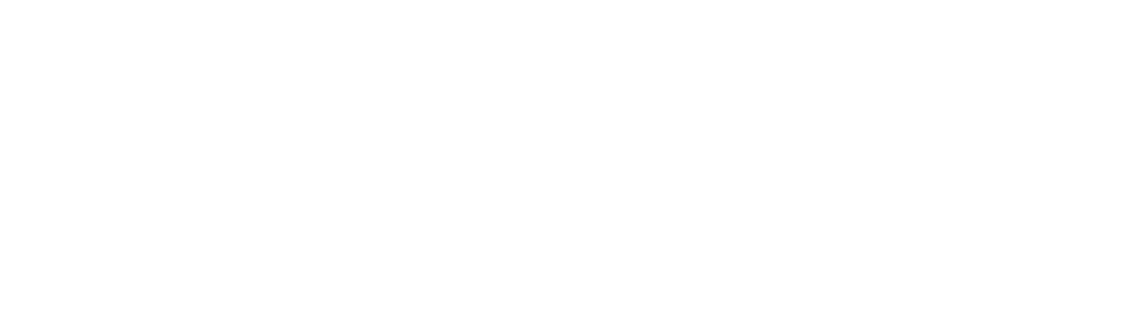 YNG Data white (1)