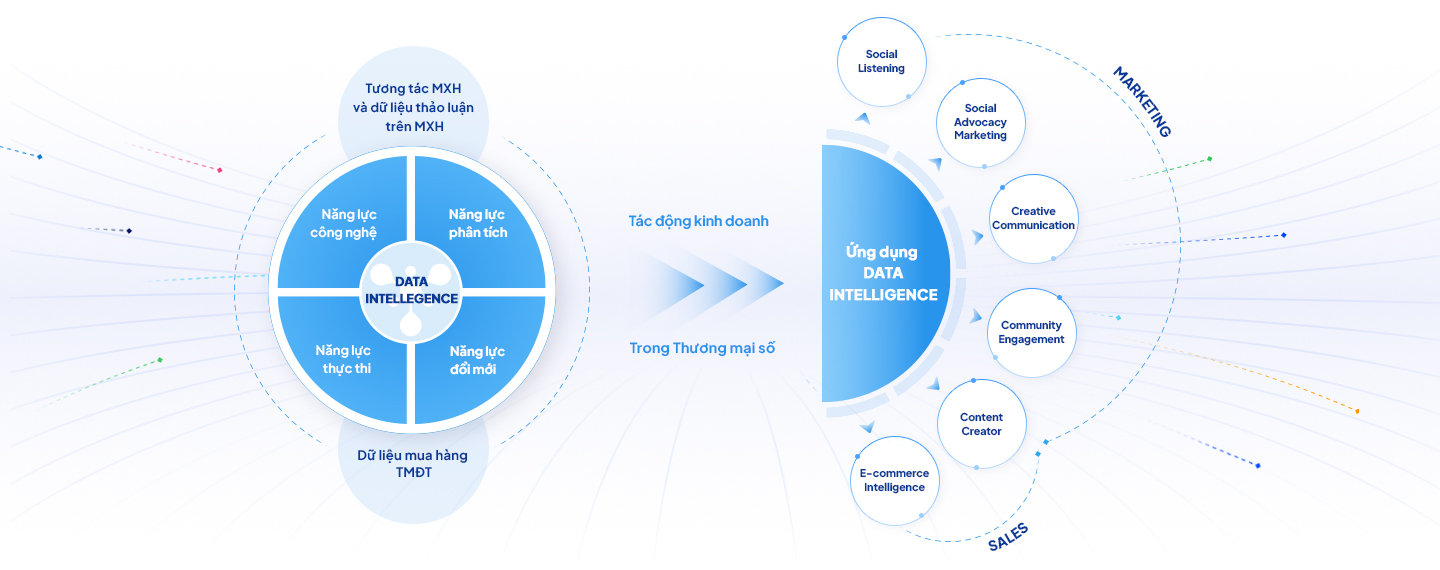 Data intelligence VN